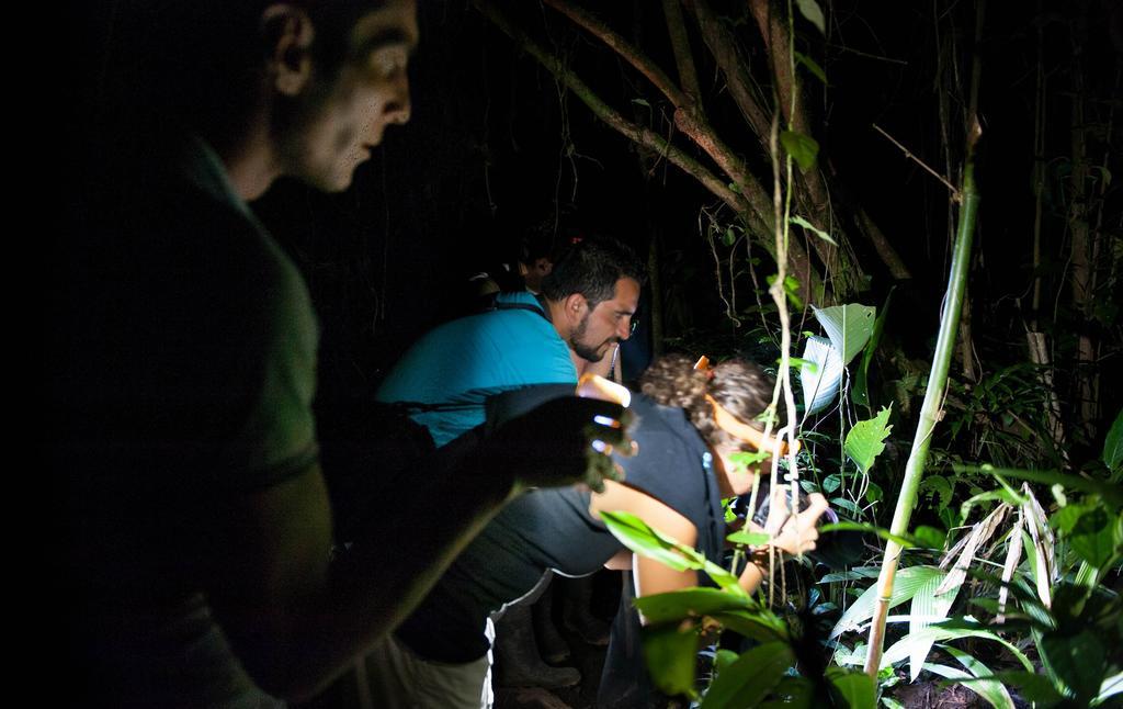 Homestay Adventures Tortuguero